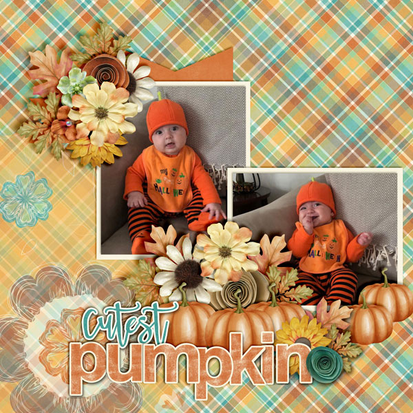 Cutest-Pumpkin_