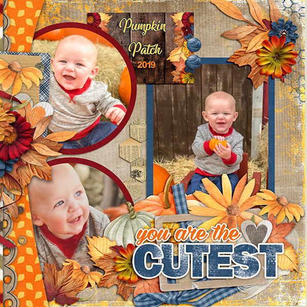 Cutest
