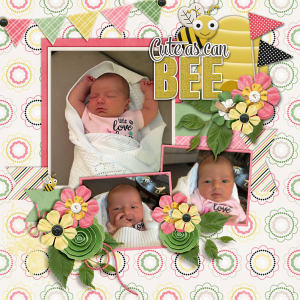 Cutie-Bee