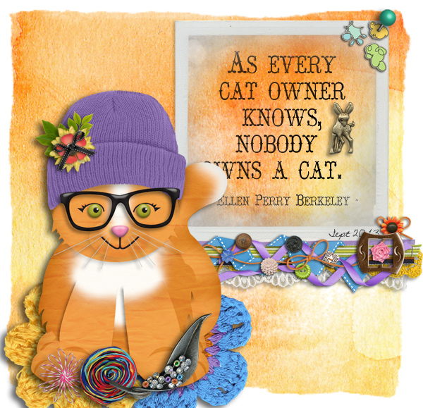Cutie Cat
