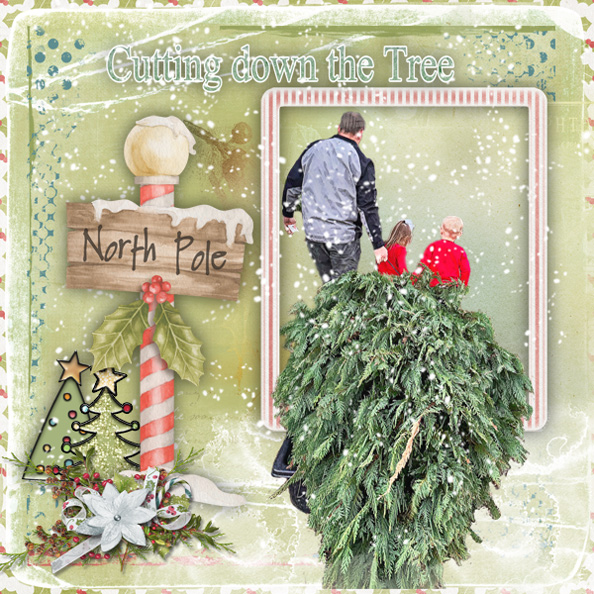 Cutting the Tree