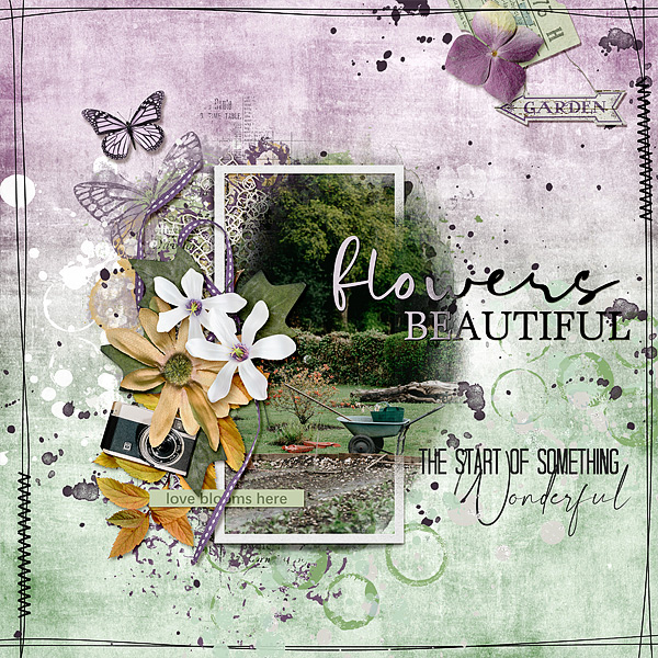 cw_BloomAndGrow_pp5