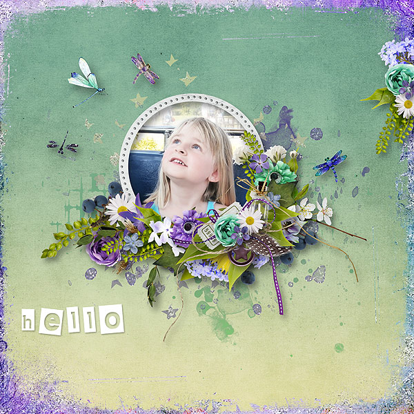 cw_DragonflyStory_tizote