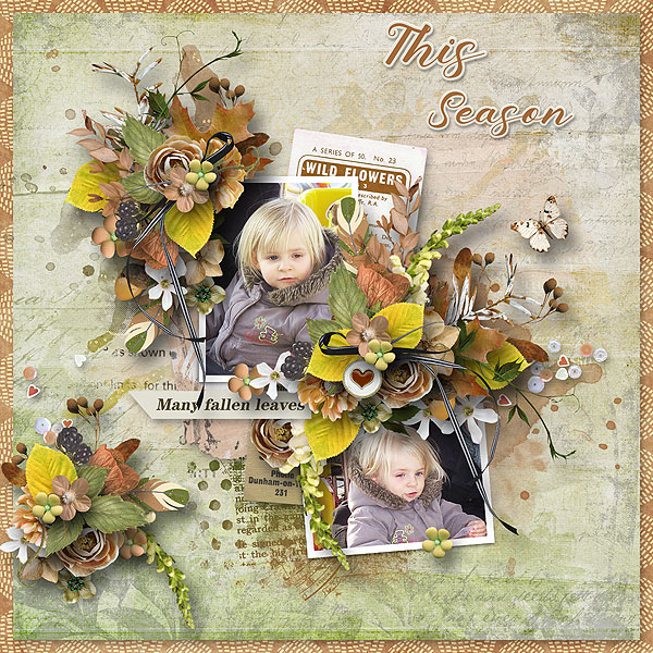 cw_SensingAutumn_tizote
