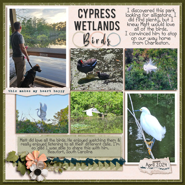 Cypress Birds