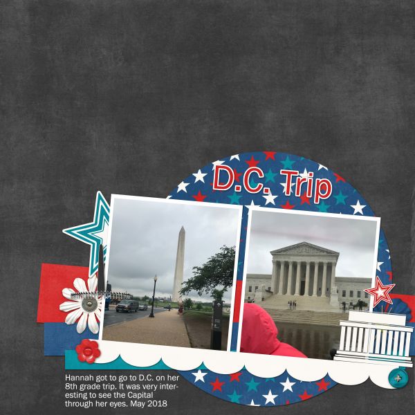 D.C. Trip