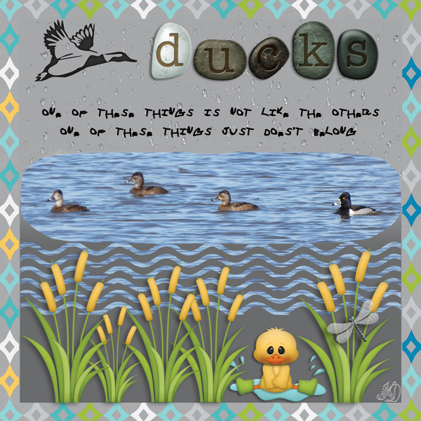 D is for a different duck