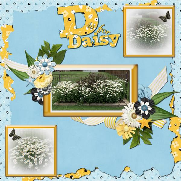 D is for Daisy