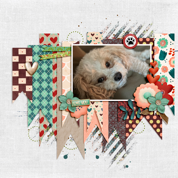 D-is-for-Dog