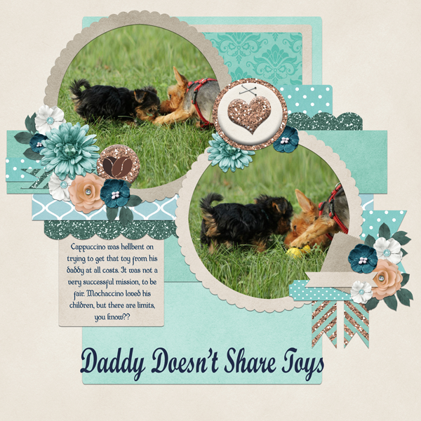 Daddy Doesn't Share Toys