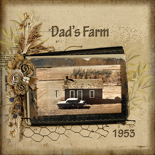 Dad's Farm
