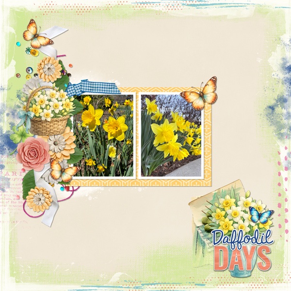 Daffodil Days