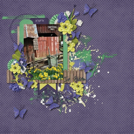 Daffodil Hill