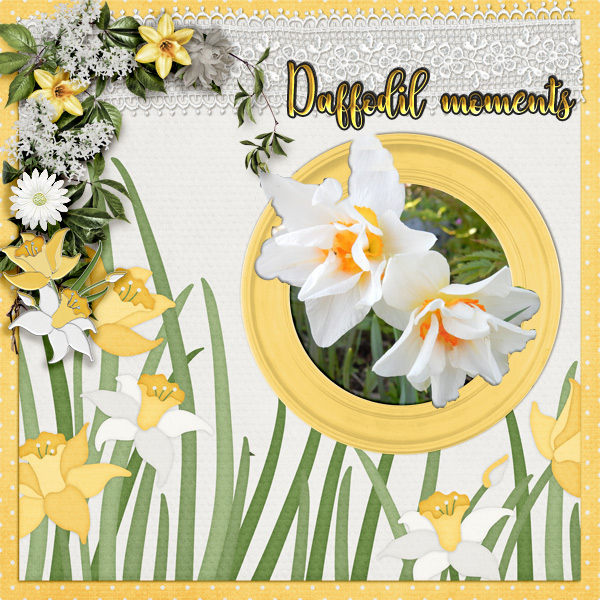 Daffodil-moments