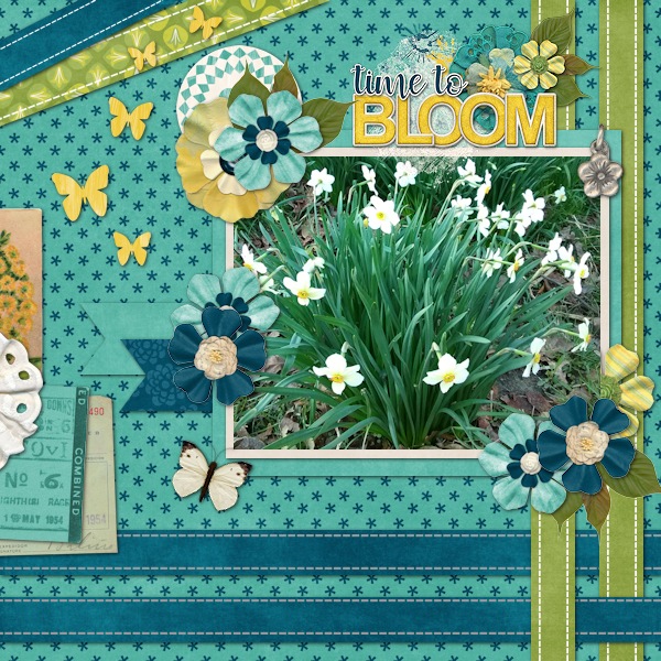 Daffodil One