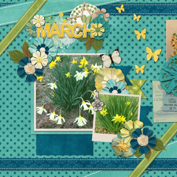 Daffodil Two