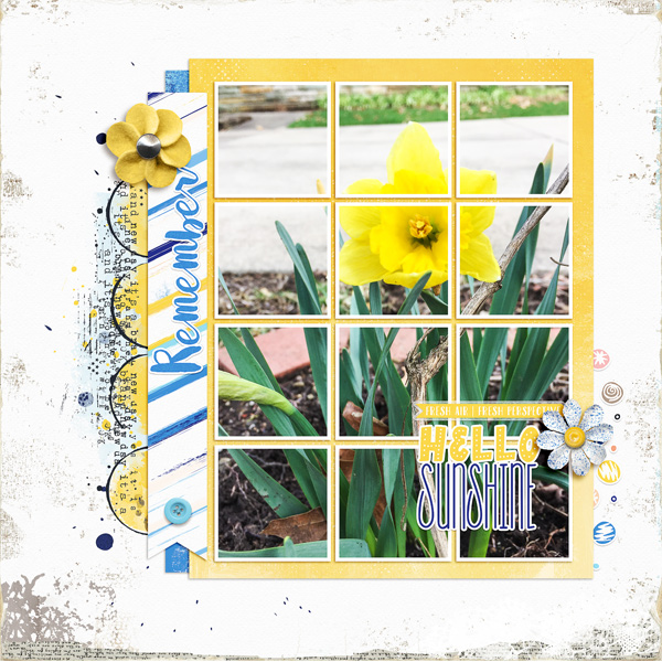 Daffodil