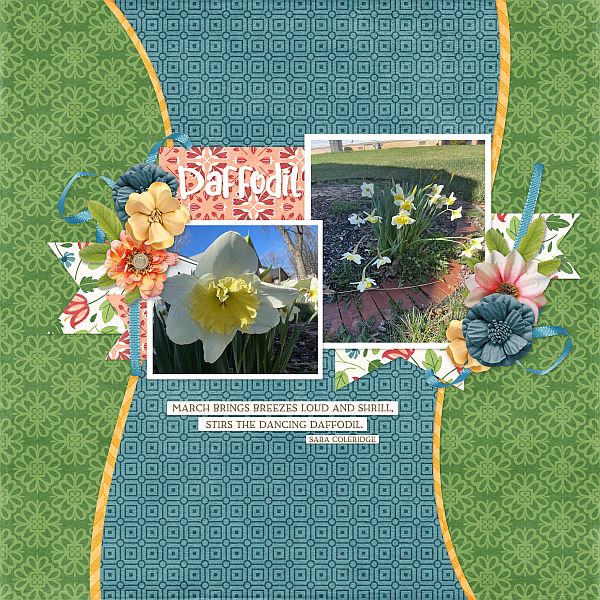 Daffodil