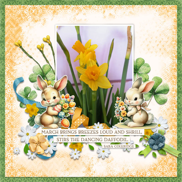 Daffodil