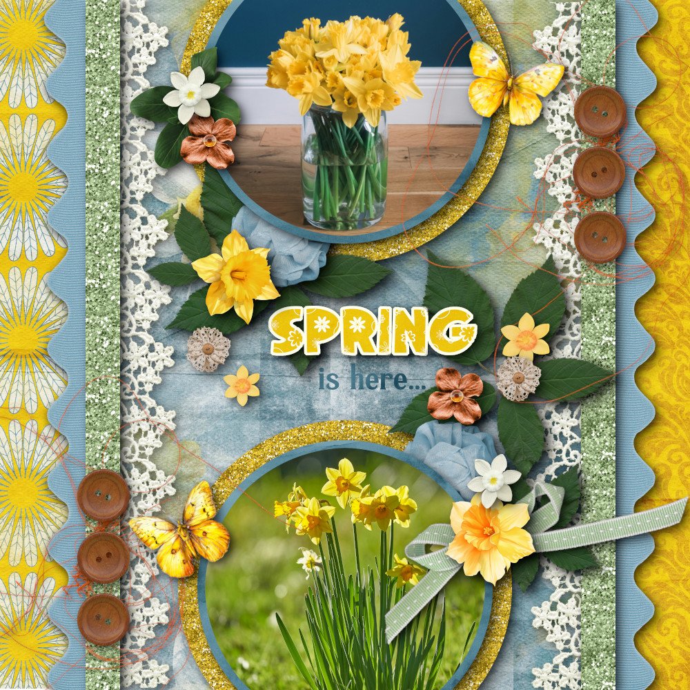 Daffodil