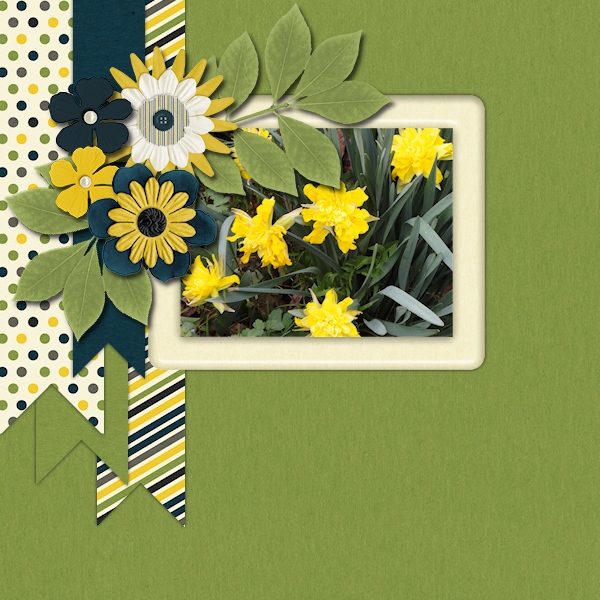 Daffodils