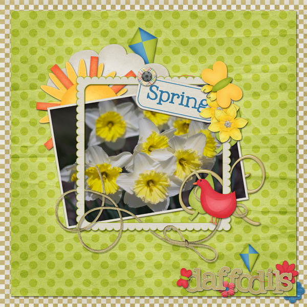 Daffodils