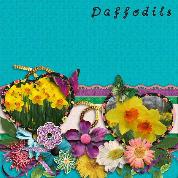 Daffodils