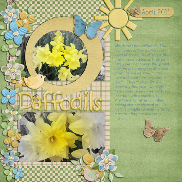 Daffodils