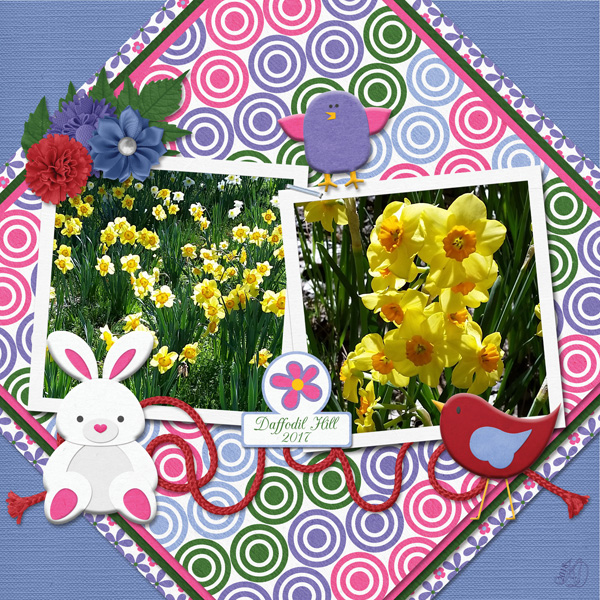 Daffodils