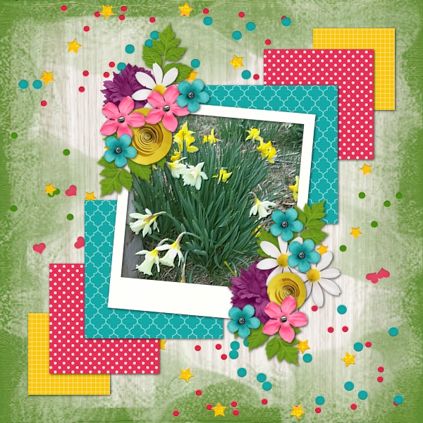 Daffodils