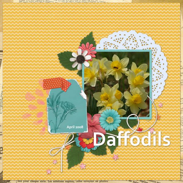 Daffodils