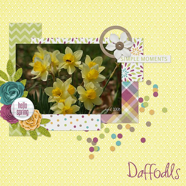 Daffodils