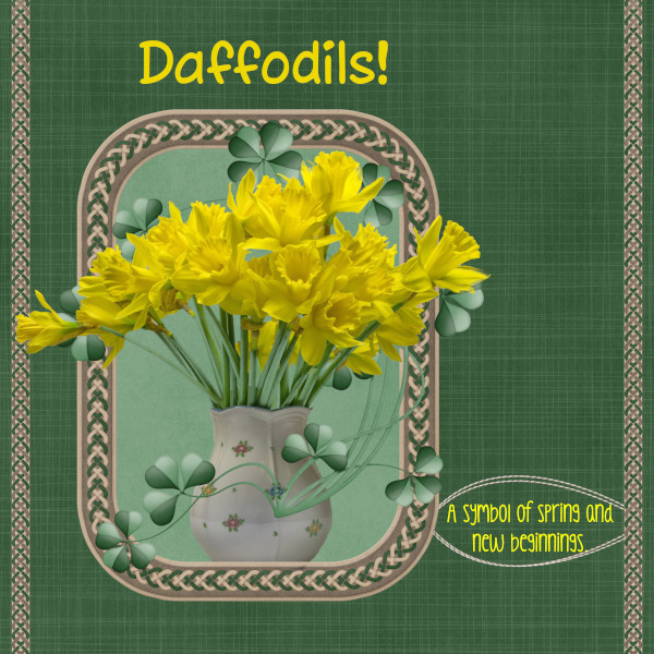 Daffodils!