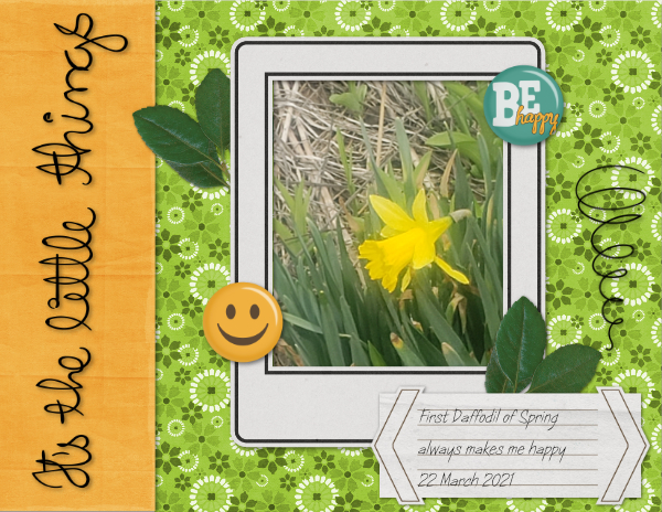 daffodils