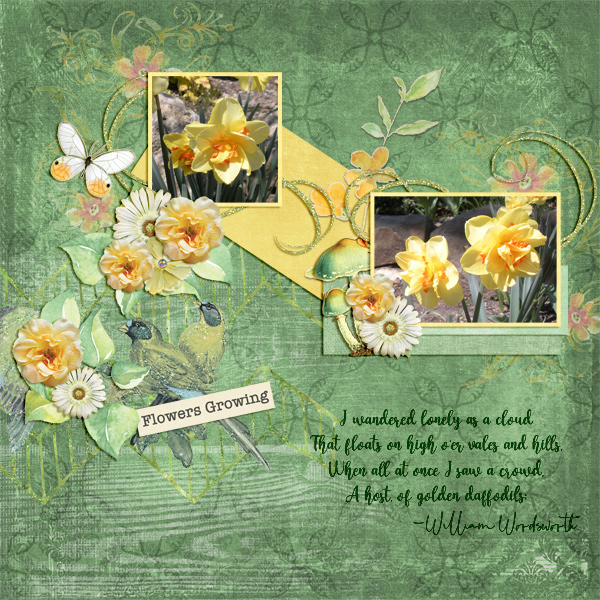 Daffodils