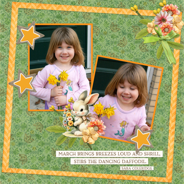 Daffodils