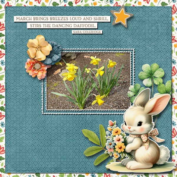 Daffodils