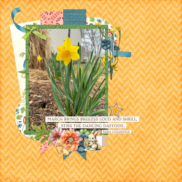 Daffodils