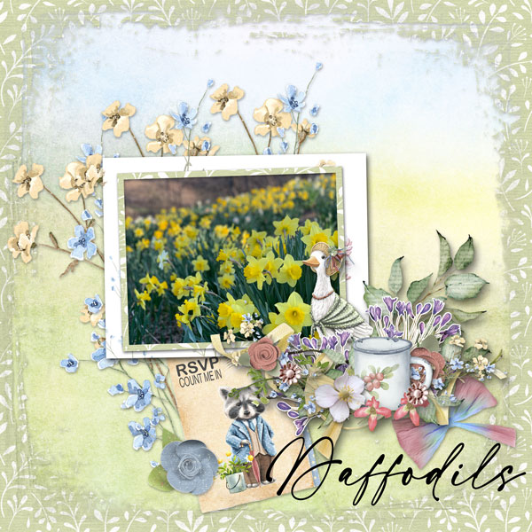 Daffodils