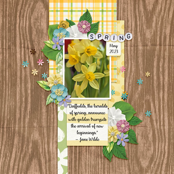 Daffodils