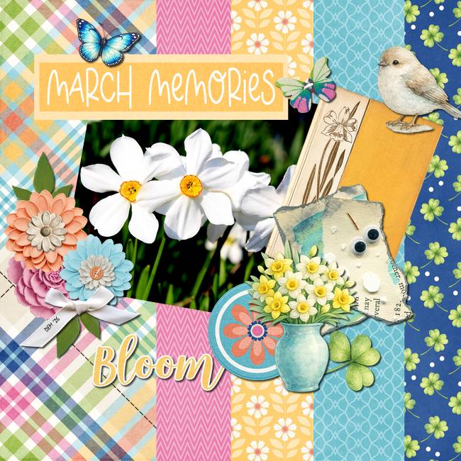 Daffodils