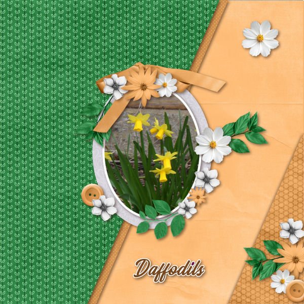 Daffodils