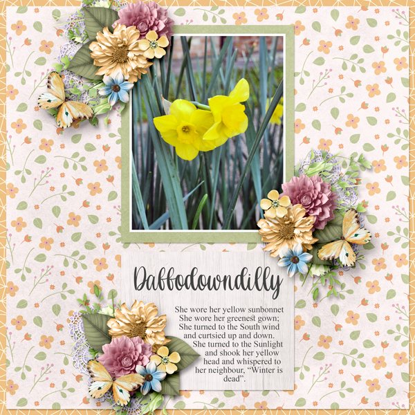 Daffodowndilly
