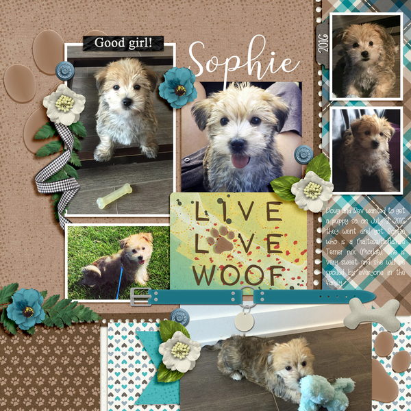 Dagilicious - Project 2019 Ruff Life