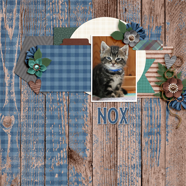 Dagi's Temp-tations - Ready 4 Photos 1