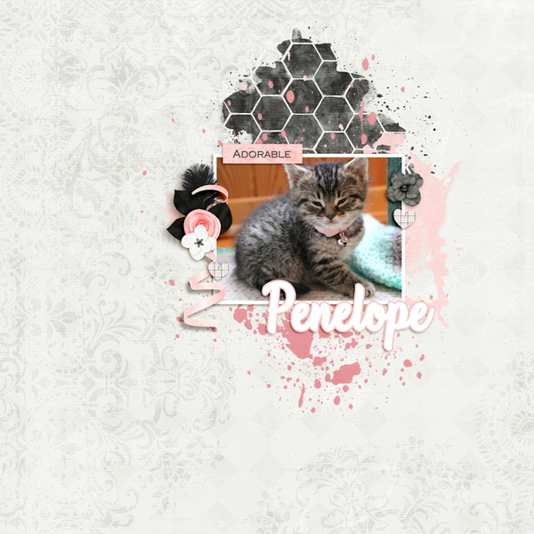 Dagi's Temp-tations - Simply 4