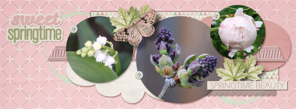 Dagi's Temp-tations - Timeline Sensation