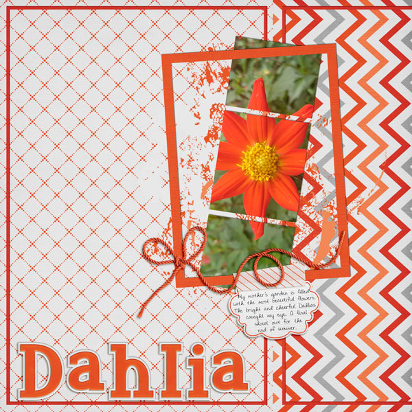 Dahlia