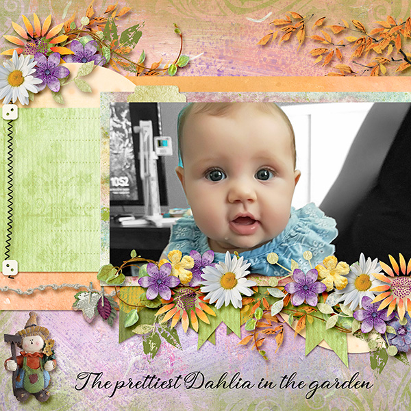 Dahlia