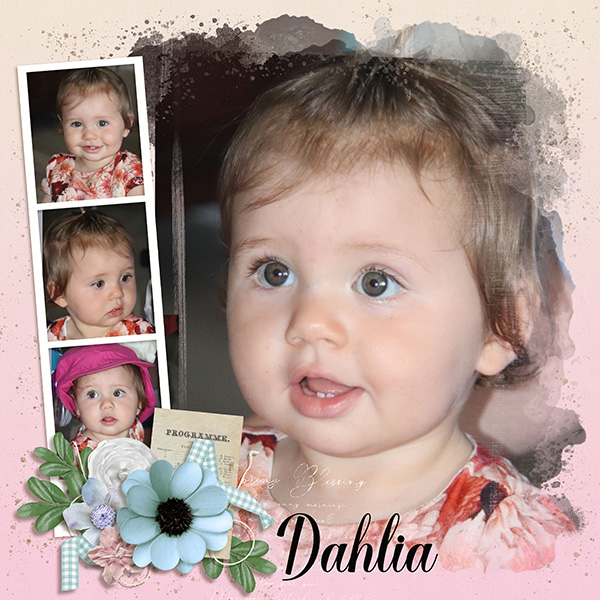 Dahlia